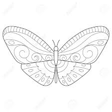 Download these beautiful butterfly coloring pages for free below. Butterfly Coloring Page For Children And Adults Stock Photo Picture And Royalty Free Image Image 149414923
