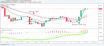 Bitcoin Btc Price Analysis July 20 Coinpath