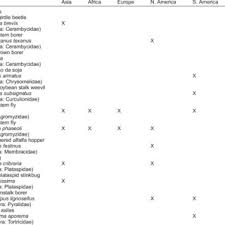 Pest control service in santa fe, new mexico. Pdf Integrated Pest Management For Tropical Crops Soyabeans