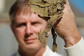 Whose bones made it home from the Vietnam War?