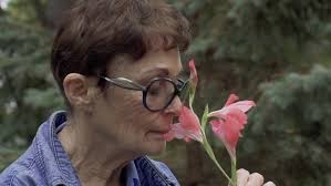 There's a fairy village in the woods of Callander, Ontario — meet the  82-year-old behind the magic