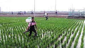 Menteri pertanian dan industri asas. Anim Agro Technology Cabaran Sektor Pertanian