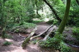 Jun 01, 2021 · she also alleges they assaulted her a second time in a car some time later when they drove her home. Paradise Bottom Bristol Dog Walk Outdoor Paws Bristol