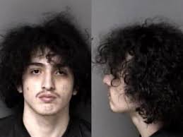 Pagan Alicia, Abraham Jose * Trespass, 1st Degree * Injury, Personal  Property * Resist Public Officer * Resist Public Officer * Resist Public  Officer