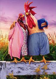 Avanti Press Chicken Couple On Farm Funny Humorous Valentine S Day Card Walmart Com