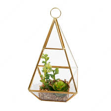 Baby necklace crassula memiliki bentuk daun yang unik berbentuk cakram yang mengelilingi batang. Terrarium Solusi Bertanam Di Dalam Rumah Blog Ruparupa