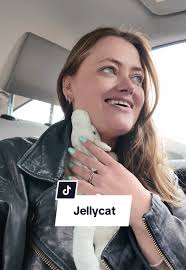 Jellycat Collection Inspiration from Kayla Caputo