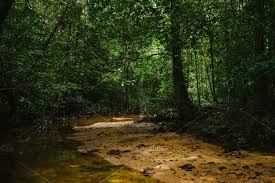 Deserted Beach Top View Tangalle Sri Sponsored Top Beach Deserted View Beach Tops Tangalle Top View