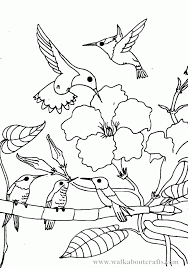 Get the markers out and make an average day a little more magical (for free!) by printing out a few of our favorite fairy, rainbow, and baby unicorn coloring pages. Printable Hummingbird Coloring Pages Coloring Me Coloring Home