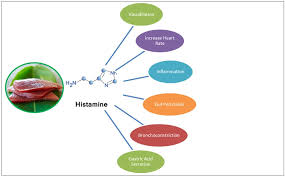 Image result for Scombroid Fish Poisoning