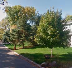 We use stihl back pack blowers to cleanup leaves and debris from under decks, driveways, sidewalks, shrubs, and rock/mulch areas. Minnetonka Tree Company Nature S Touch Tree Care And Landscaping