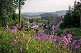 +49 (381) 510 8632 email: Kurzurlaub Suhl Hotels Bis Zu 60 Gunstiger Buchen