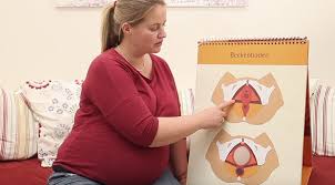 Der genuss von himbeerblättertee in der schwangerschaft sollte mit der hebamme abgestimmt werden. Hebammentipp Mit Himbeerblattertee Gut Vorbereitet Auf Die Geburt Babyclub De