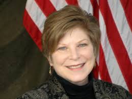 Instructions for using this template