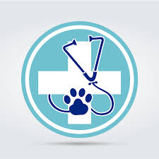 Clínica Veterinaria Dr. Paws