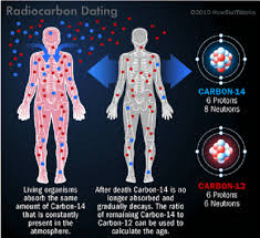 One of the most frequent uses of radiocarbon dating is to estimate the age of organic remains from archaeological sites. What Is Carbon Dating Universe Today