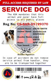 Largest Service Dog Registry 2016 Register Now Service Dogs Dog Id Service Animal