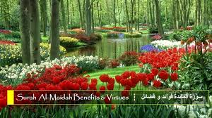 Camel meat benafits in urdu. Benefits And Virtues Of Surah 5 Al Maidah Ø¨Ø³Ù… Ø§Ù„Ù„Ù‡ Ø§Ù„Ø±Ø­Ù…Ù† Ø§Ù„Ø±Ø­ÙŠÙ…
