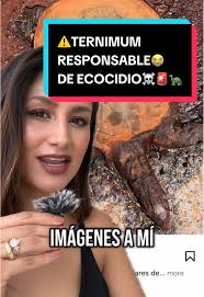 Defender Árboles: Protesta en Torreón Coahuila