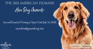 Steve byers, natasha henstridge, john tench vb. One Week Left To Help Choose Finalists For America S Top Dog American Humane American Humane