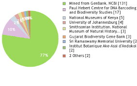 Image result for Coccinia senensis