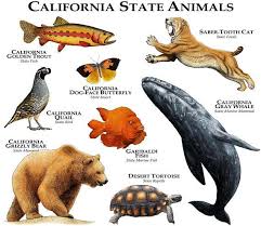 California State Animals Poster Print Etsy Animal Posters California Dog Animals