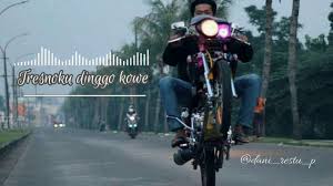 Sticker motor racing herex mania: Story Wa Herex Tiger Standing Cuy Youtube