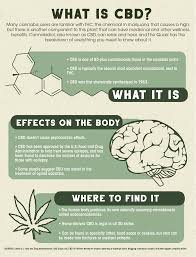 Both cbd and thc (aka cannabidiol and tetrahydrocannabinol) are members of a family of active compounds known as cannabinoids. The Quad Examining The Effectiveness Of Cbd Products Ways People Use Them Daily Bruin