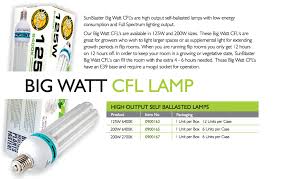 Get blue, cool, or 6500k spectrum for. Small Watt Cfl S Sunblaster Lighting
