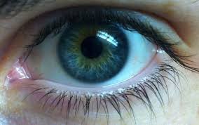 Central heterochromia is a rare eye condition that does not interfere with a person's eyesight. That S Cool I Have Central Heterochromia In My Eyes The 171572577 Added By Creamgravy At Siblings With Heterochromia