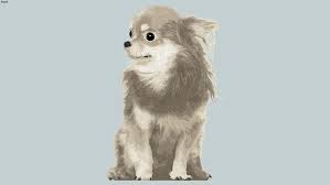Pin By Ttaenam On Sketchup In 2020 Chihuahua Dogs Chihuahua Dogs