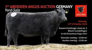 The system is to mate the. The 7 Th Sale Of Angus Cattle In Germany Karpaten Meat