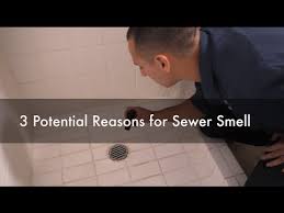 In most cases, resolving this on your own is no problem and requires a little bit of patience and hydrogen peroxide. Why Do I Have A Sewer Smell In My Bathroom 3 Potential Reasons Seattle Best Plumbing 206 633 1700 Youtube