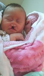 Teagan Morris Obituary