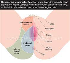 The affected area can also spread to include the groin area and lower abdomen. Treatments For Groin Pain In Women Caring Medical Florida