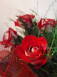 Quante rose si regalano ad una donna donne magazine. Tumblr Sfondi Di Rose Novocom Top