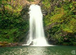 Maybe you would like to learn more about one of these? Wailuaiki Waterfalls In Hana Maui Hawaii Hawaiian Beach Rentals