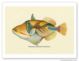 Check spelling or type a new query. Hawaiian Vintage Art Poster Hawaii State Fish Humuhumu Vintage Poster Art Fish Illustration Vintage Art