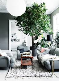 Un Arbre Dans La Maison Deco Interieure Decoration Salon Deco