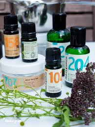 Die creme kann leicht verteilt werden, ohne einen fettigen film zu hinterlassen. Diy Selbst Gemachte Bodylotion Mit Aloe Vera Fraulein Immergrun