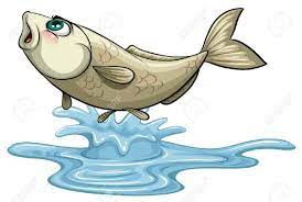 We did not find results for: Fish Jumping Out On Water Surface Illustration Royalty Free Cliparts Vectors And Stock Illustration Image 63774033
