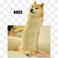 You can download in.ai,.eps,.cdr,.svg,.png formats. Noge Shiba Inu Akita 2048 Dog Dog Like Mammal Dog Breed Noge Doge Hd Png Download 640x850 194516 Pngfind