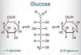 Find an answer to your question ✅ the chemical formula of gluscose is c6 h12 06. Glucose Dextrose D Glucose Molecule Syclic And Acyclic Forms Royalty Free Cliparts Vectors And Stock Illustration Image 124098054