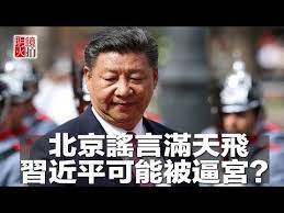 Image result for 習近平被潑墨