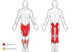 We did not find results for: Exercise Bike Target Areas Off 62