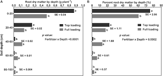 Maybe you would like to learn more about one of these? Frontiers Soil Water Deficit And Fertilizer Placement Effects On Root Biomass Distribution Soil Water Extraction Water Use Yield And Yield Components Of Soybean Glycine Max L Merr Grown In 1 M Rooting