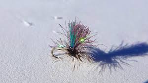 Midge flies, or chironomids, which resemble mosquitoes but don't bite, commonly occur in wastewater treatment and lagoon systems along lake shores, along with their larval form, red worms. Top 10 Tailwater Midge Flies Headhunters Fly Shop