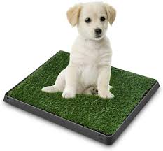 Greensen Hundeklo Toilette Rasen Hundetoilette Hundetopfche 3 Lagen Hundetoilette Rasen Welpentoilette Topfchenauflage Hunde Tr Hund Und Katze Hunde Alter Hund