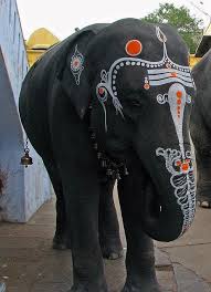 One Morning I Shot An Elephant In My Pajamas Movie Elephant Elephant India Elephant Asian Elephant