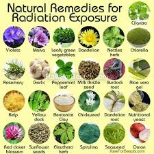 Pin On Herbal Remedies